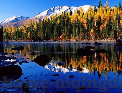 app软件免费下载糖心-糖心，下载畅享幸福生活的APP平台