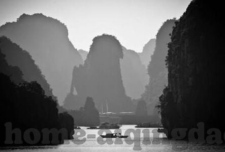 大象传媒芭乐视频-探索大象传媒与芭乐视频的融合创新之路