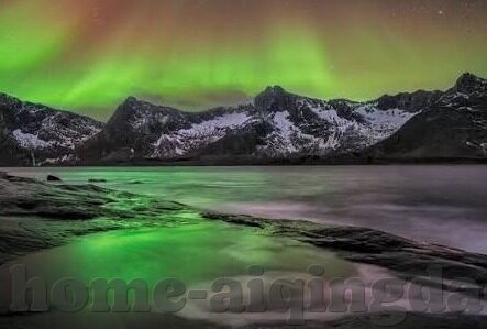 大象传媒短视频app官方-大象传媒短视频app官方，重塑娱乐与信息传播的新篇章