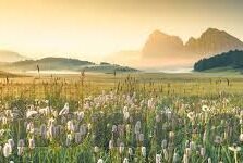 糖心app苹果商店名称-探寻糖心APP在苹果商店的独特魅力，成为用户钟爱的秘密